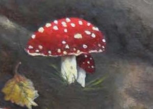 AmanitaMuscariaDETAIL-KellyLTaylor
