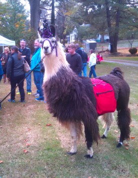 PrincessInca at Keep it Local